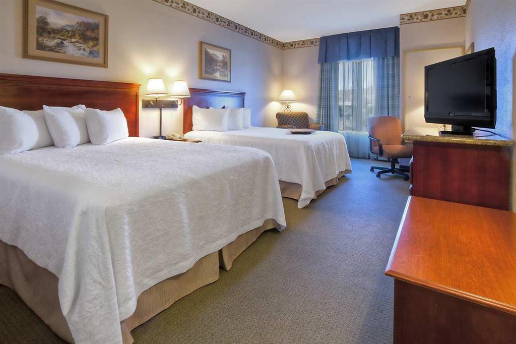 Hampton Inn - Great Falls Rum bild